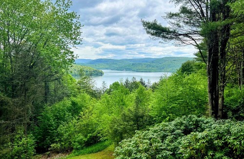 Downsville Cabin | The Lakeview Art House