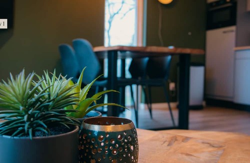 Nieuw Heeten House | Enjoy comfort and nature in the IJssel Comfort Plus bungalow for 2 persons at Vakantiepark de Sallandshoeve, with modern amenities and a peaceful setting.