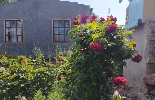 Cholpon-Ata House | Affordable guest house near to main road, beach and petroglyph museum