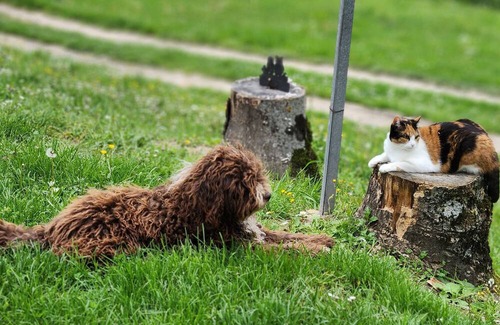 Cagli House | Cà Paradiso - Room '800 private bath, sitting area, fireplace and kitchen shared