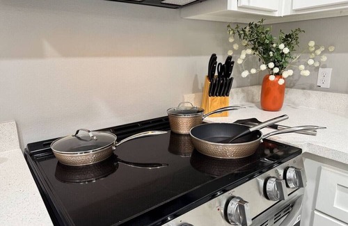 Alamo Apartment | Modern Studio Apt - 3Bd 2Bath
