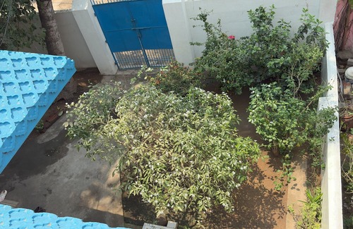 Puri House | 2BHK Homestay @ Gundicha Temple Best 4 Ratha Yatra