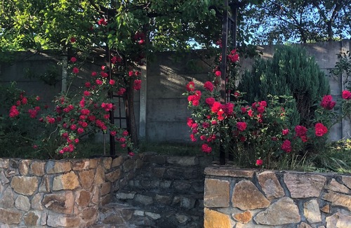 Giarmata Villa | Pink Garden Events Advance Notice Required