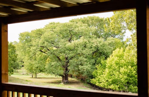 Stonewall Cabin | Hill Country Getaway - Cozy Stonewall Retreat Near Wineries & Fredericksburg