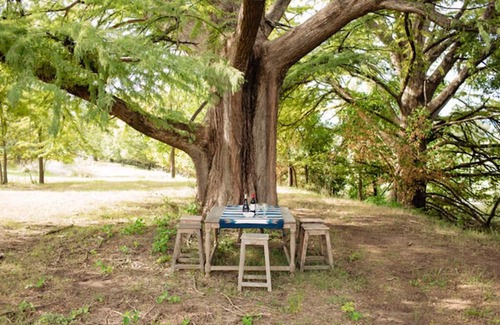 Stonewall Cabin | Hill Country Getaway - Cozy Stonewall Retreat Near Wineries & Fredericksburg