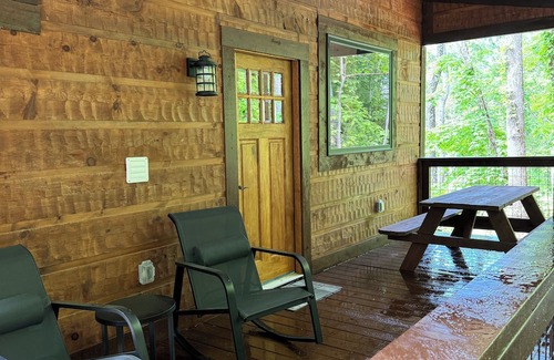 Dandridge Apartment | Cabin in the woods!
