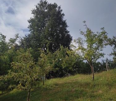 Mojkovac House | Pyrus Apartments