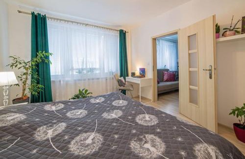 Banska Stiavnica Apartment | Apartmán Schemnitz Classic