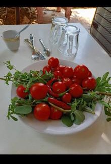 Cirali House | Gold Altınkaya Camping