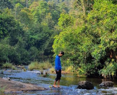 Elappara Resort | River arena Holidays