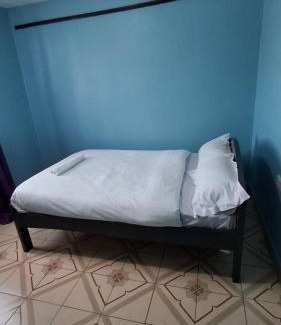 Ngelani House | Purple building