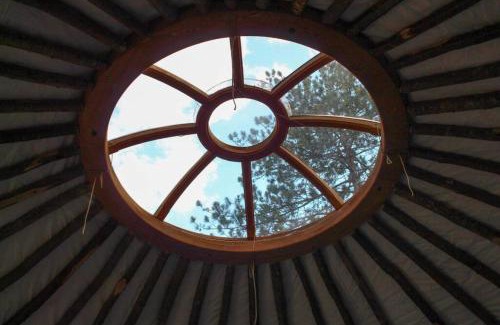 Brownfield Other | Allie Mae Yurt nestled in the woods