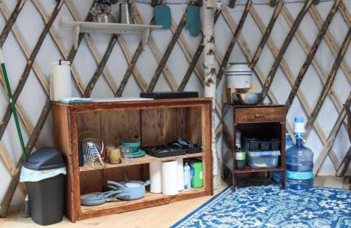 Brownfield Other | Allie Mae Yurt nestled in the woods