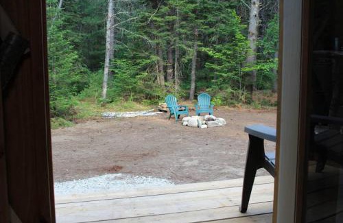 Brownfield Other | Allie Mae Yurt nestled in the woods