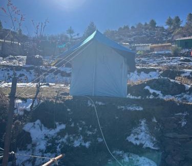 Auli Other | Budget Camp