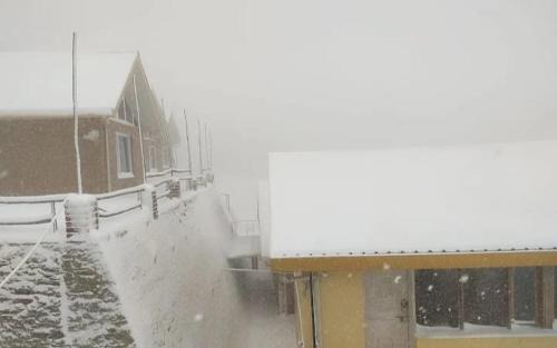 Fagu Hotel | Zazroo Cafe and Mud Cottages (Duplexes)