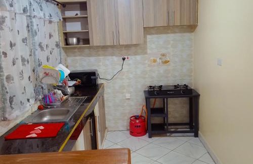 Ruiru Apartment | Delaware homes