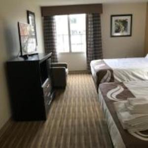 Ruther Glen Hotel | Quality Inn & Suites
