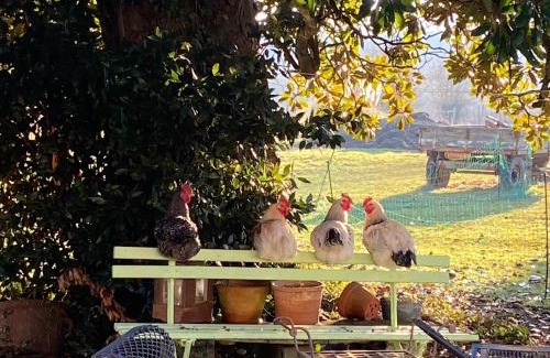 Bourg-sur-Gironde Bed & Breakfast | Chambre d'hôte près Bordeaux