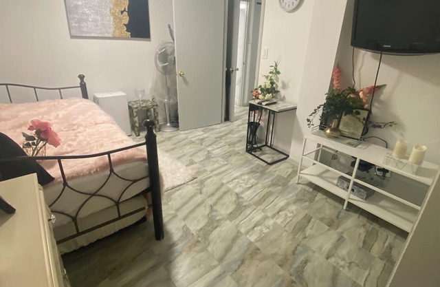 Spacious Brooklyn Apartment