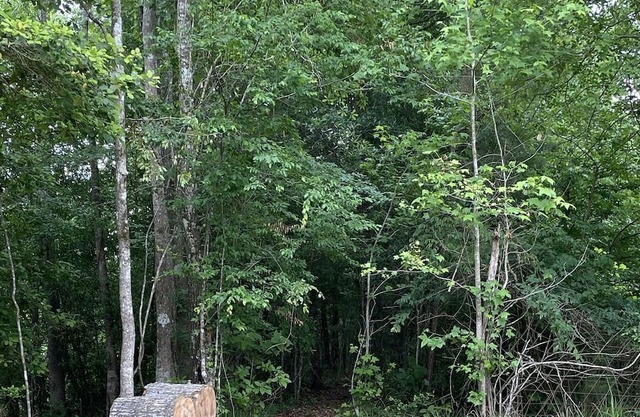 Cozy cabin located on the Angelina River and minutes away from lake Sam Rayburn.