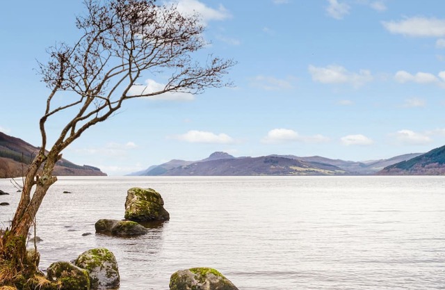 Ancarraig Thistle 7 by Interhome