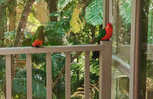 Natures Retreat Getaway your ideal staycation retreat