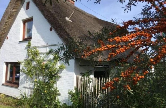 The little thatched cottage