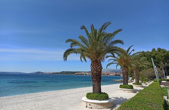 Apartment Modern (98802-A1) - Zrnovnica (Split)