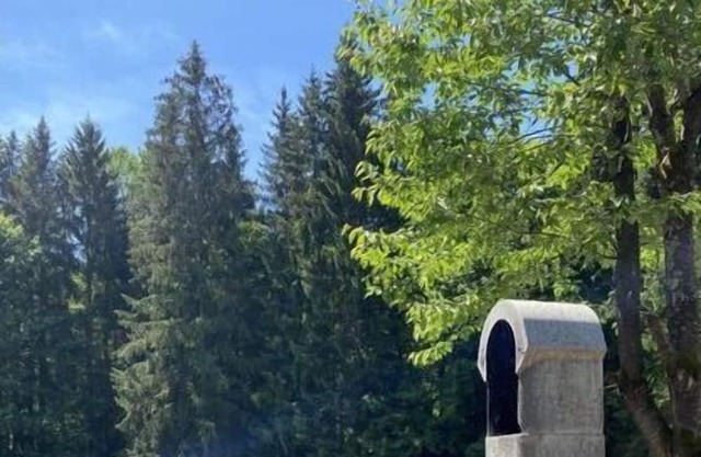 Mountain chalet in Wildemann