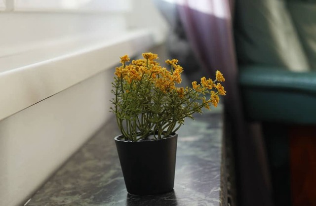 Room Flower near Train station and Hospital