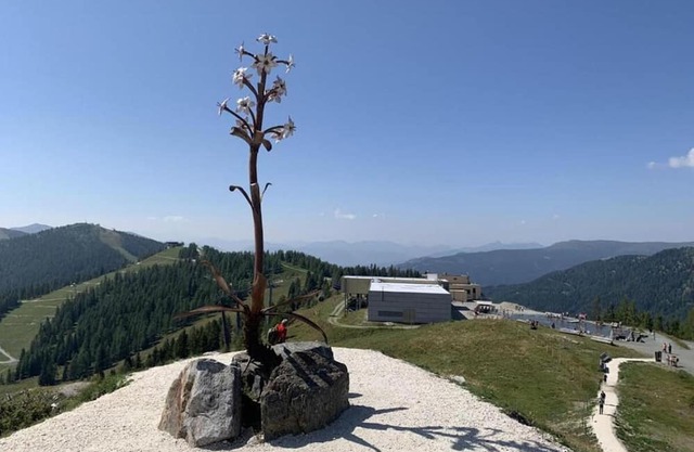 Studio - Gasthof Kirchenwirt Gnesau