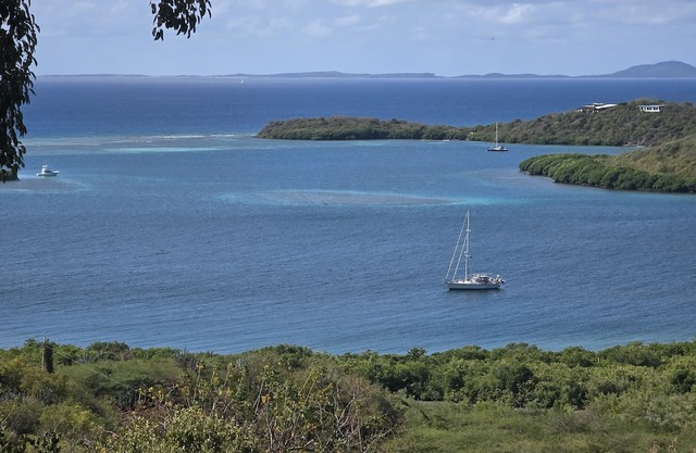 Coqui Estate; Rustic Chic and Magical with Private Boat Dock and Ocean View