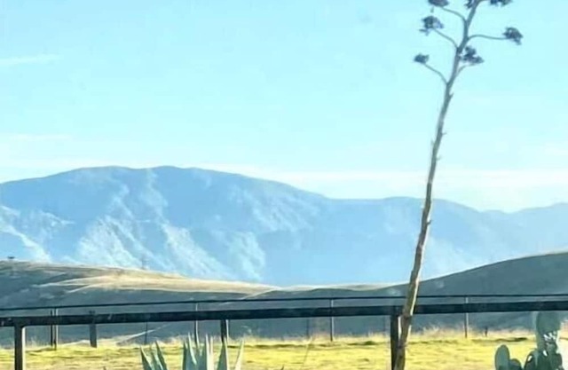 Tiny Home, Big Views