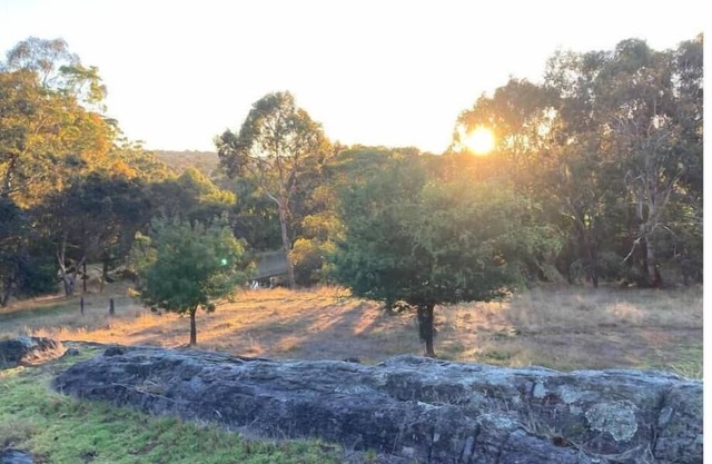 Campsite: The Hill