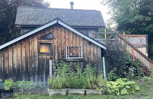 Willow Creek Cabin Secluded Guesthouse, Wooded lot