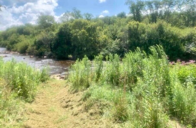 Blackwater Bed & Bikes #1n