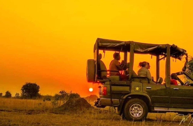 Kazinga Wilderness Safari Camp