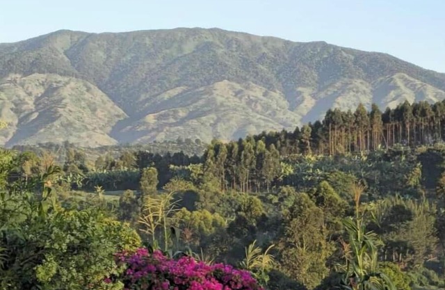 Kaije Country Cottages unit 3