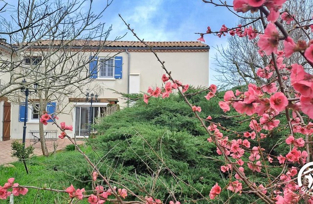 L'esquiròu - castres - Gîte