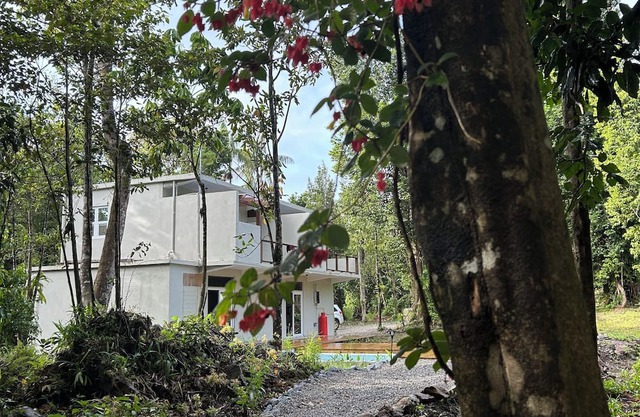 Arcadia nLose the crowd and unplug to a 70 acre rainforest retreat.