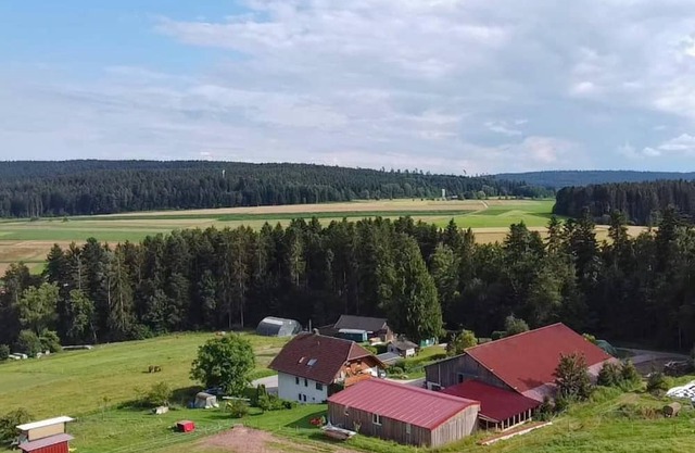 Holiday Apartment on a Farm in Black Forest