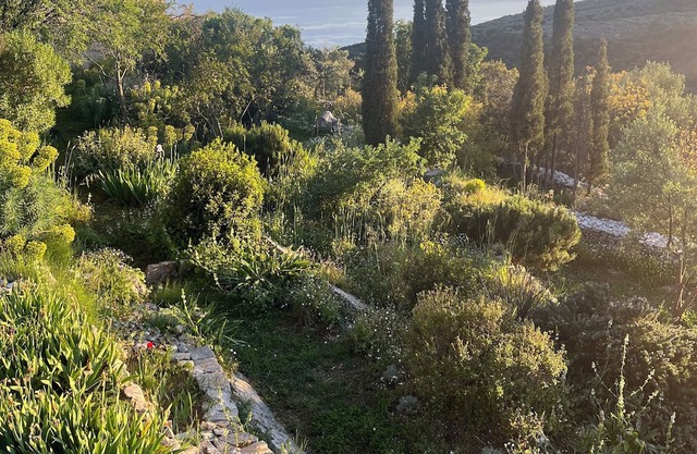 Eco retreat between mountain and sea, 15 minutes to Kardamyli and its beaches