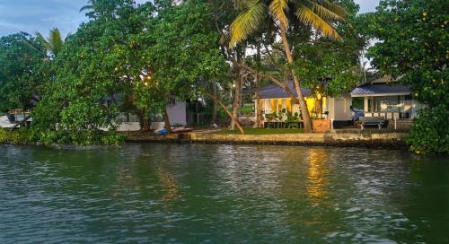 Lakefront 1 BR Cabin with Lake access & Hammock