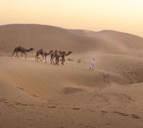 Jaisalmer Bella homestay