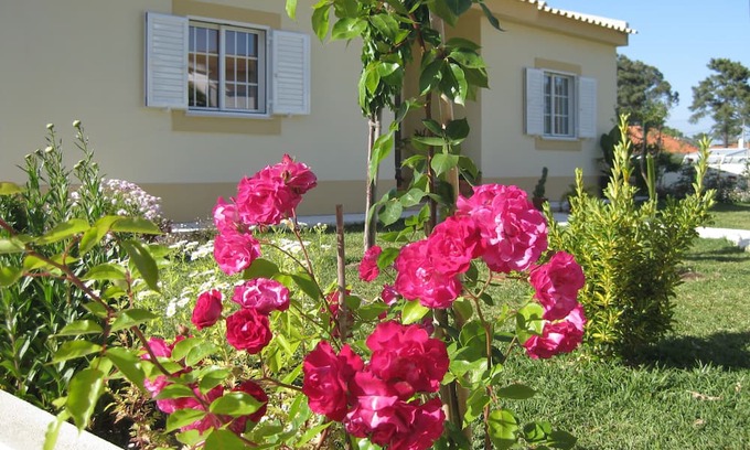 Quinta Do Conde House | Small pine forest Villa Sesimbra