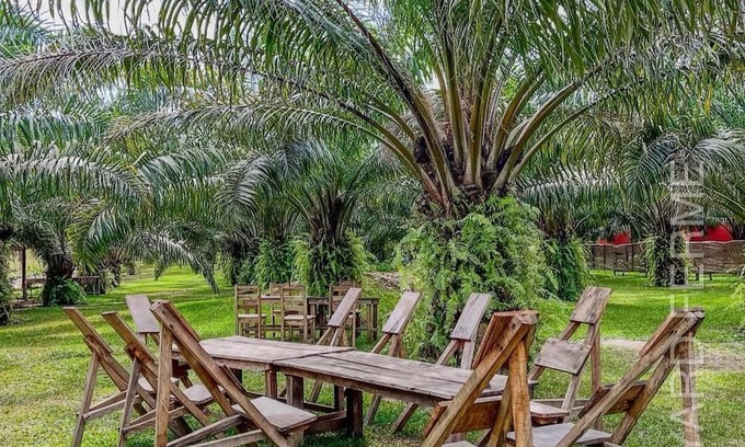 Ahozon Other | AMBA YARD