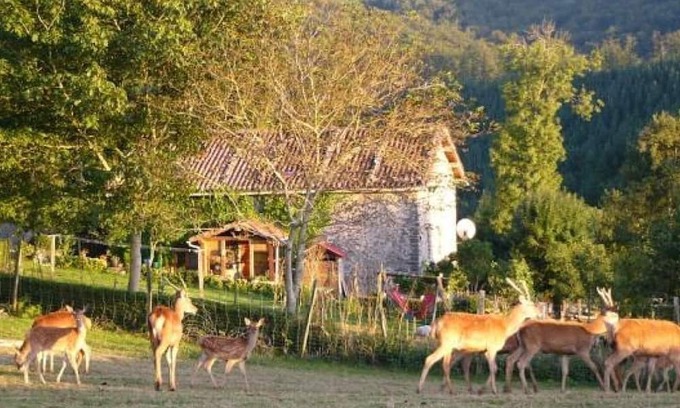 Guipuzcoa Province House | Country House 'Pagorriaga' with Mountain View, Shared Terrace and Wi-Fi