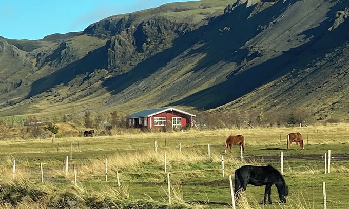 Sveitarfelagid Olfus Apartment | Fancy Iceland? Central location in South Iceland.