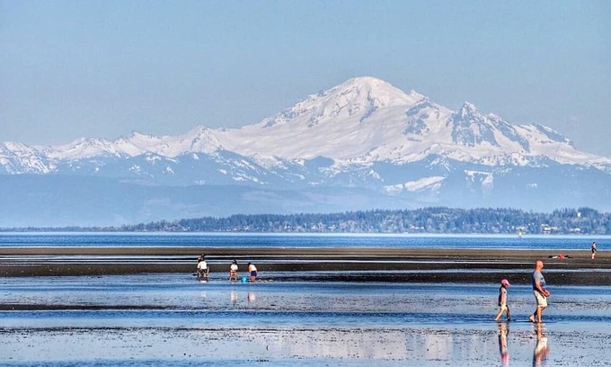 Boundary Bay Apartment | Brand new apartment by the beach